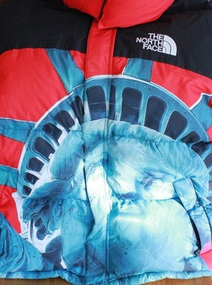 Supreme The North Face Statue of Liberty Baltoro Jacket | eBay