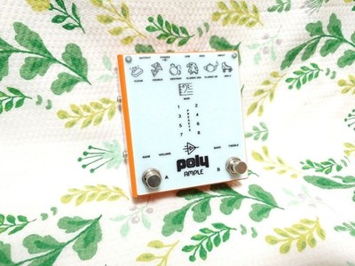 Poly Effects Ample Amp Simulator Effektpedal