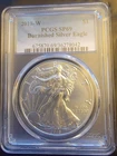 2018-W American Eagle SP-69 PCGS Burnished Art Bullion -0.999 Silver 1 Oz Coin i