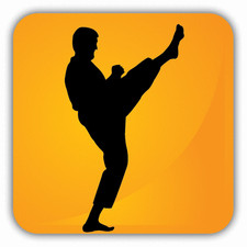 Karate Sport Icon Fighting Car Bumper Sticker Decal 5" x 5"