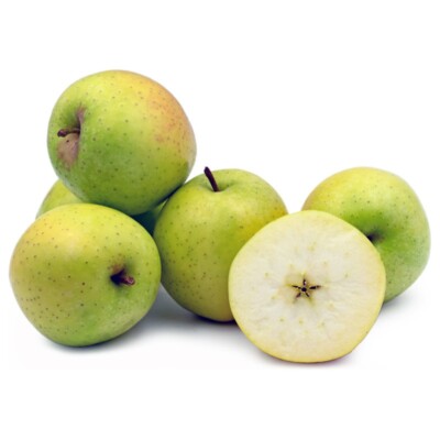Japanese Aomori Orin Apple tree , Green Dragon Apple, bare root