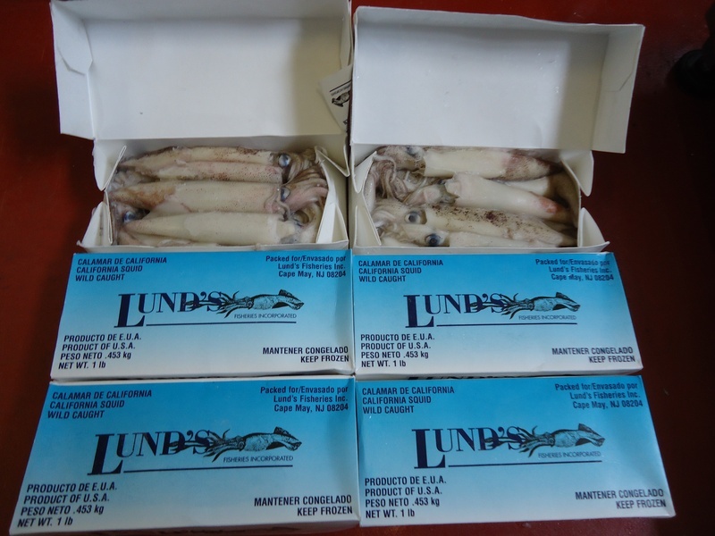 Frozen Sea Fishing Bait Mackerel, Blueys, Sandeel, Black Lug, Cuttlefish eBay