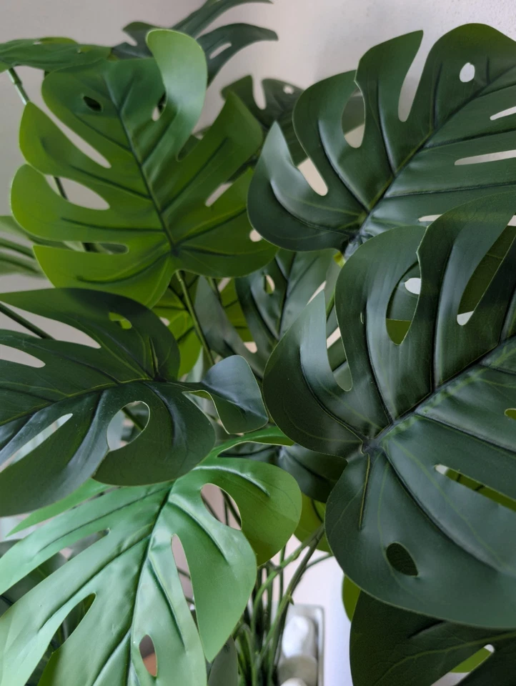 Künstliche Monstera Pflanzen ca 70cm Kunstpflanze Fake OHNE Topf Fensterblatt - Bild 3 von 4