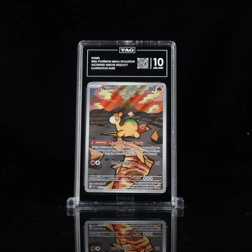2026 Pokemon - Numel 223/217 Me: Ascended Heroes Illustration Rare - TAG 10