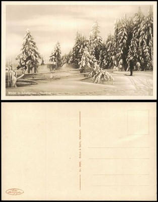Postcard Schellerhau-Altenberg (Erzgebirge) winter on the edge of the forest 1928