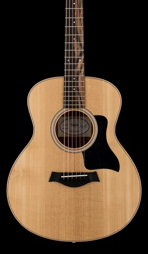 Taylor GS Mini Sapele #05083
