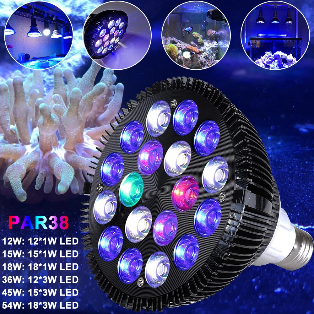 Blue spot light sale bulbs