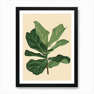 Fiddle Leaf Fig Plant Minimalist Il Framed Wall Art Poster Canvas Print Picture