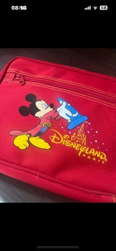 Disneyland Resort Tasche und Bilderrahmen Konvolut Sammlerstück - Bild 4 von 6