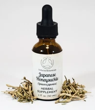 JAPANESE HONEYSUCKLE Herbal Supplement / Liquid Extract Tincture / Lonicera Herb