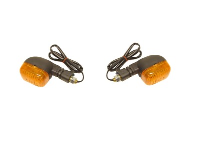 Scheuklappen Paar hinten links & rechts für Triumph Sprint ST 955cc SSSA 2002-2004