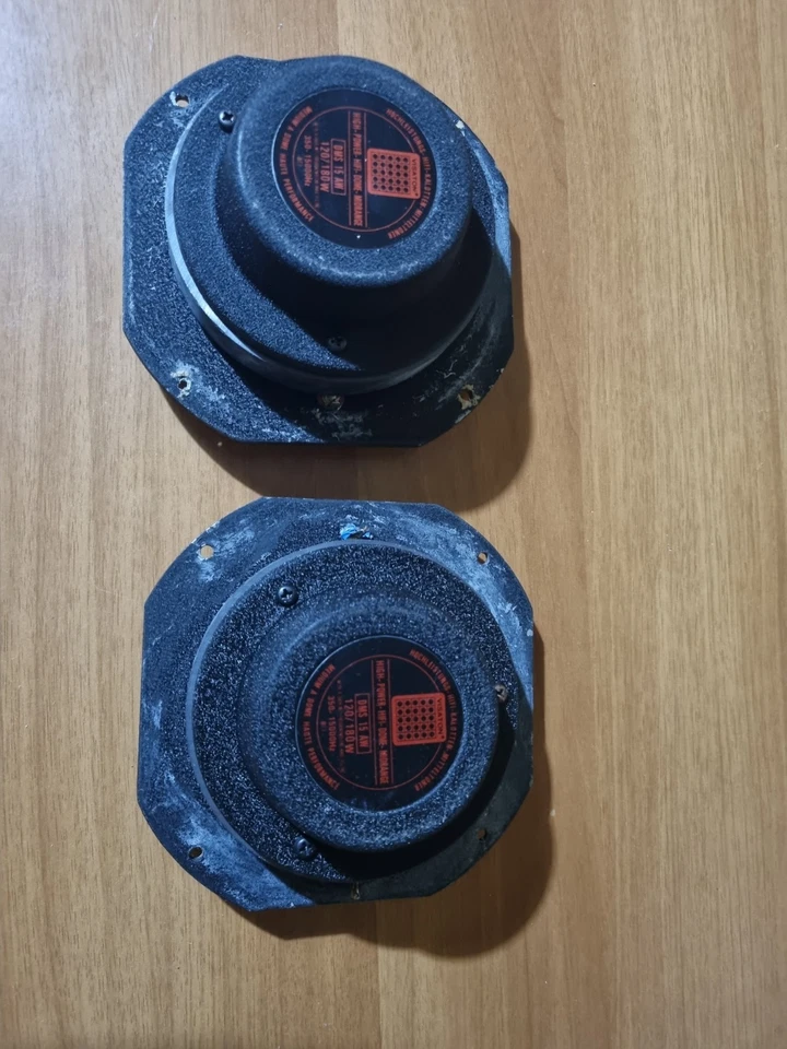 Midrange DSM 15 AW Visaton 2 driver (vintage) - Immagine 2 di 4