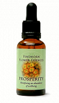 FINDHORN PROSPERITY ESSENCE 30ml - HELPS FOCUSED AMBITION TO ACHIEVE YOUR GOALS