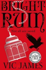 Bright Ruin: 3 (The Dark Gifts Trilogy, 3), James, Vic