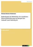 Risikokapital Als MaßNahme Der Staatlichen WirtschaftsföRderung Am Beispiel Der
