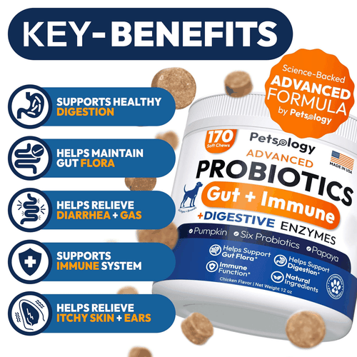 Probiotics for Dogs 170 Chews Dog Digestive Enzymes Prebiotics Support Gut - Picture 2 of 8