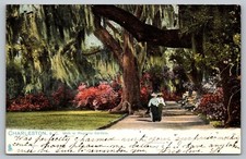 Postcard Walk In Magnolia Gardens Charleston ...