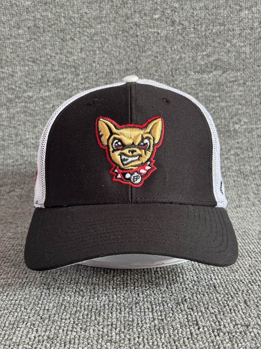 '47 Brand Charleston RiverDogs Trucker Snapback Black White One Size Hat