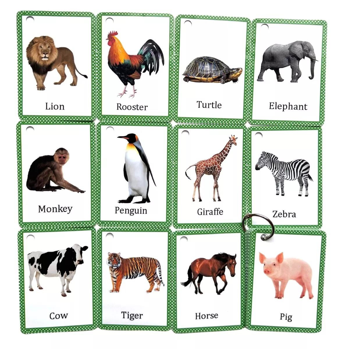 Animal Flash Cards Children's Toddlers Educational Pre School Learning