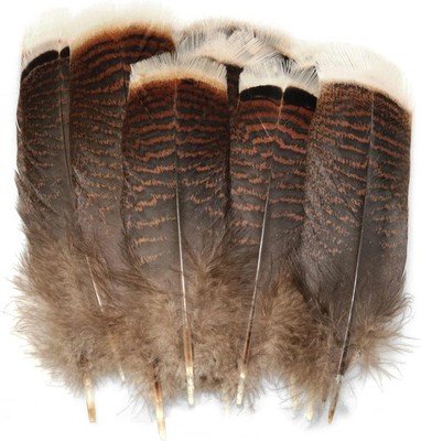 20 Pack Natural Turkey Tail Feathers 6-8'' DIY Craft Costume Headdress Decor
