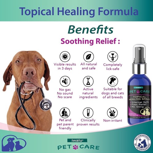 HOT SPOT DOG HOME REMEDY Skin Antifungal Pet Spray Fast Acting Rash