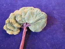 Vintage Millinery Flower Leaf 36pc Bunch 2" Geranium Leaves Green B84