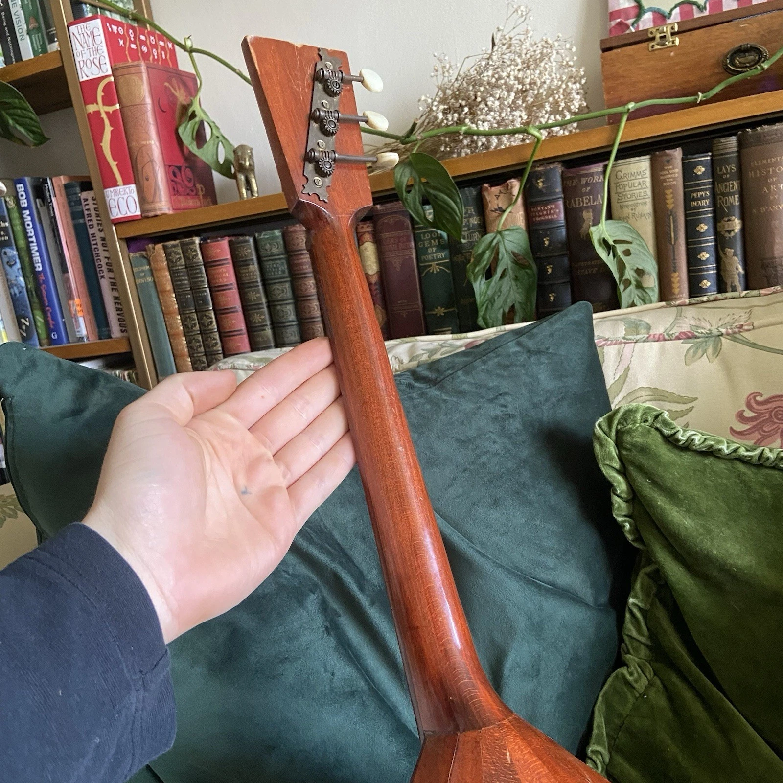 Picture 5 of 22