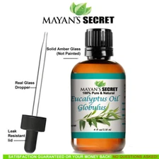 MAYAN'S SECRET - 4 fl oz Eucalyptus Globulus Essential Oil
