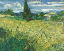 Vincent van Gogh Green Field Fine Art Giclee | 8x10 | 11x14 | 16x20