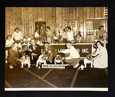 1950s Buckeye Bulldog Club Show Dogs Winners Owners Columbus Ohio Vintage Photo