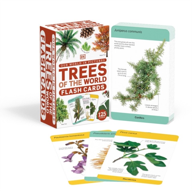 Our World in Pictures Trees of the World Flash Cards by DK (Cards)