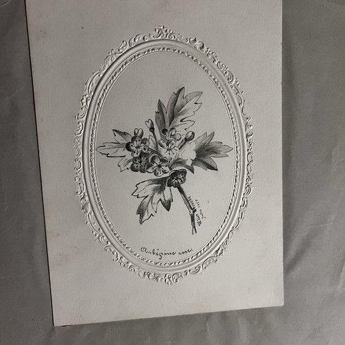 Antique 19th 1857 drawing French Pencil Paper Floral Embossed Paper 5”X7” - Picture 4 of 5