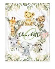 Personalized Baby Blanket for Girls Boys, Personalized Baby Blanket with Name.