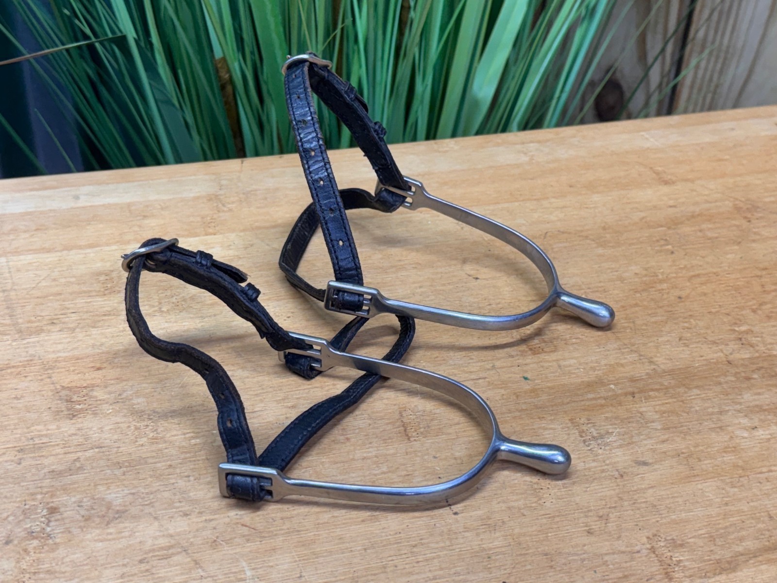 Stainless Steel Ladies English Spurs w Black Leather Straps