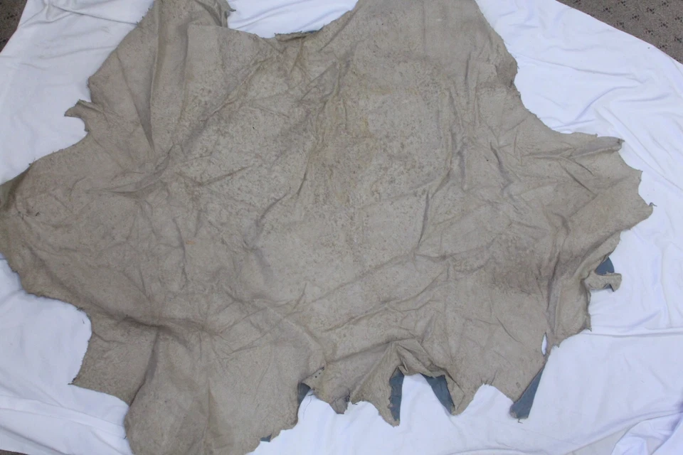 Piel de cuero gris azul avestruz 14 sq. ft 100 % genuino Foto 4 de 4