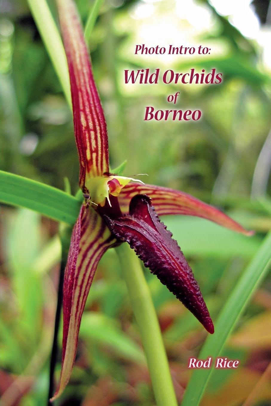Thumbnail - Photo Intro To | Rod Rice | Wild Orchids Of Borneo | Taschenbuch |