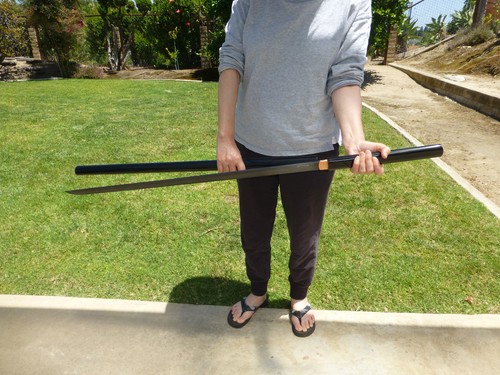 Shikomizue Zatoichi Straight Sword 杖中剑 仕込み杖 Steel Single Edged