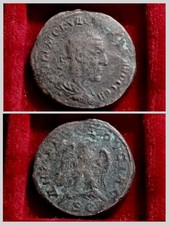  on The Hot Collector