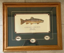 Fly Fishing Picture Brown Trout  Artist Gary Mansanarez Framed 25"x20" Vtg
