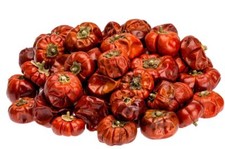 NaDeco Solanum mini 250g | Dekoracyjna dynia na kiju | Naturalna dekoracja Dekoracja świąteczna