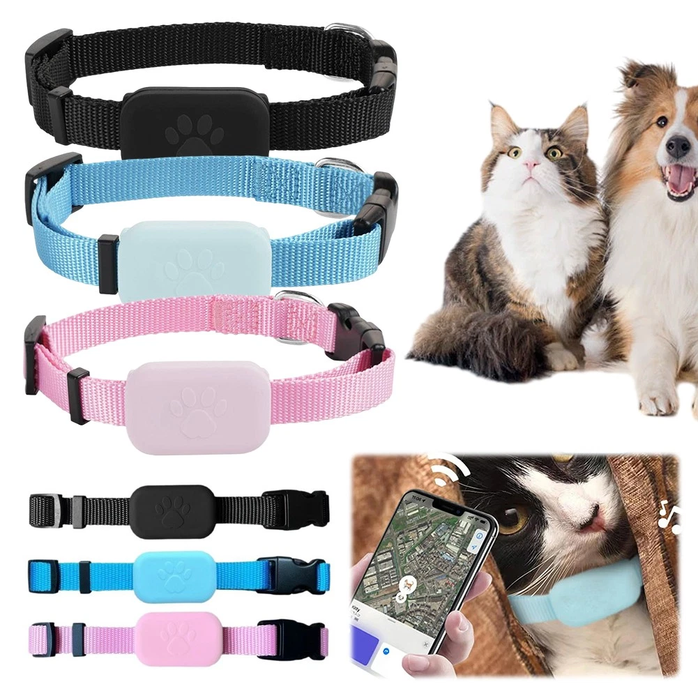 rohasche im hundefutter Trainingsknchelchen Pferd  Martin Rtter SHOP