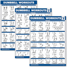 Palace Learning 3 Pack - Dumbbell Workout Posters for Home Gym - Volume 1, 2  3