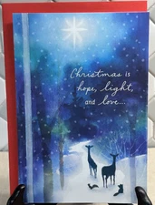 Hallmark Christmas Card w/ Envelope ~Christmas is Hope, Light & Love ~ Religious