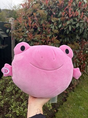 Build A Bear Workshop Skoosherz rosa Plüschfrosch Stofftier BAB matschig 12 Zoll süß
