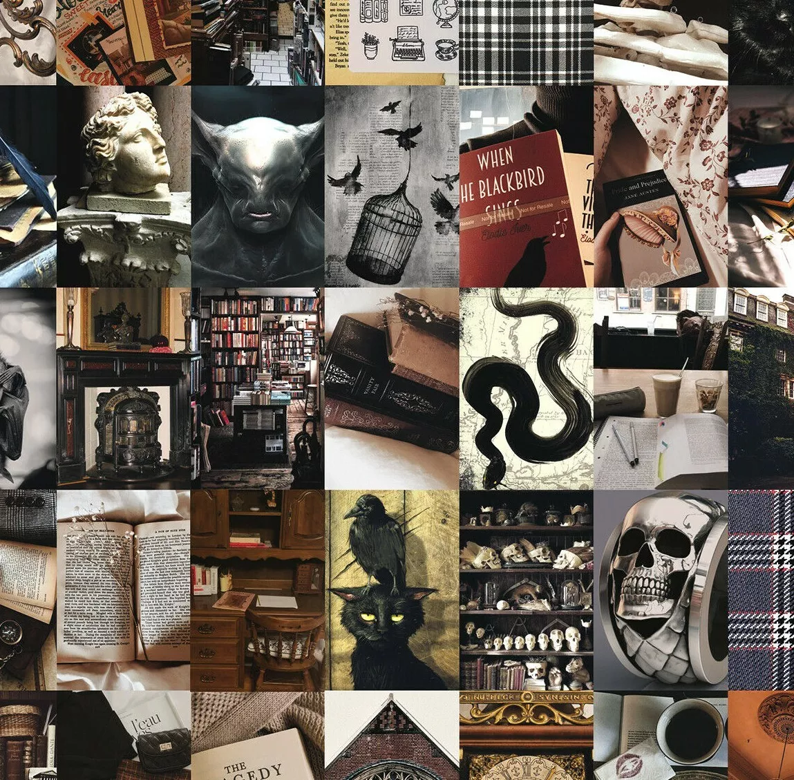 Dark academia Aesthetic wall collage kit 60 pics