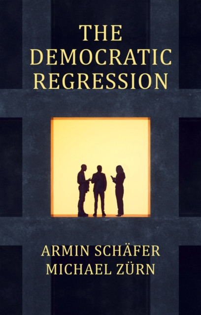 The Democratic Regression by Armin Schafer (Paperback Book)