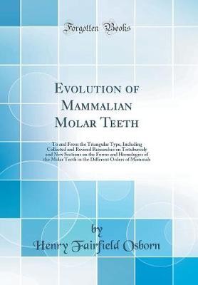 Evolution of Mammalian Molar Teeth: To and From th