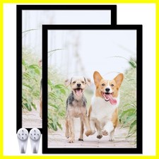 Picture Frame Set - Black 17x22 (Set of 2)