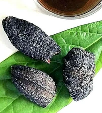 Australian Wild Sea Cucumber - 500g or 1kg 澳洲 野生 海參