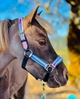 Starpoint Halographic Halter XXL-pony Equestrian Horse Halter  — photo 2